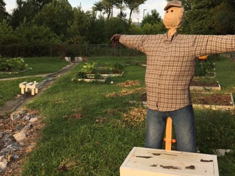 Food Pantry Christ Episcopal ChurchChrist Episcopal Church